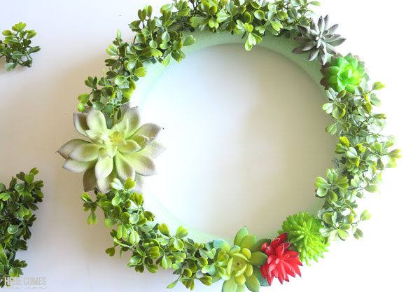 Create a gorgeous succulent wreath with this easy tutorial!
