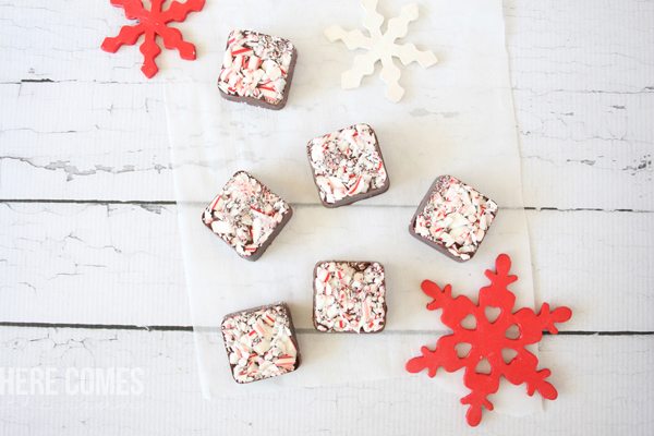These chocolate peppermint squares are easy to make AND delicious. And did I mention they are no-bake? Click to get the recipe.